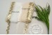 Sequin Lace, GOLD, Scalloped Edge Trim, CREAM mesh - 1m length
